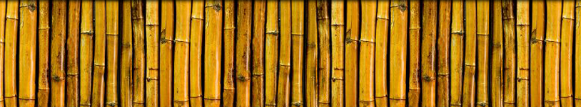 bamboobottom